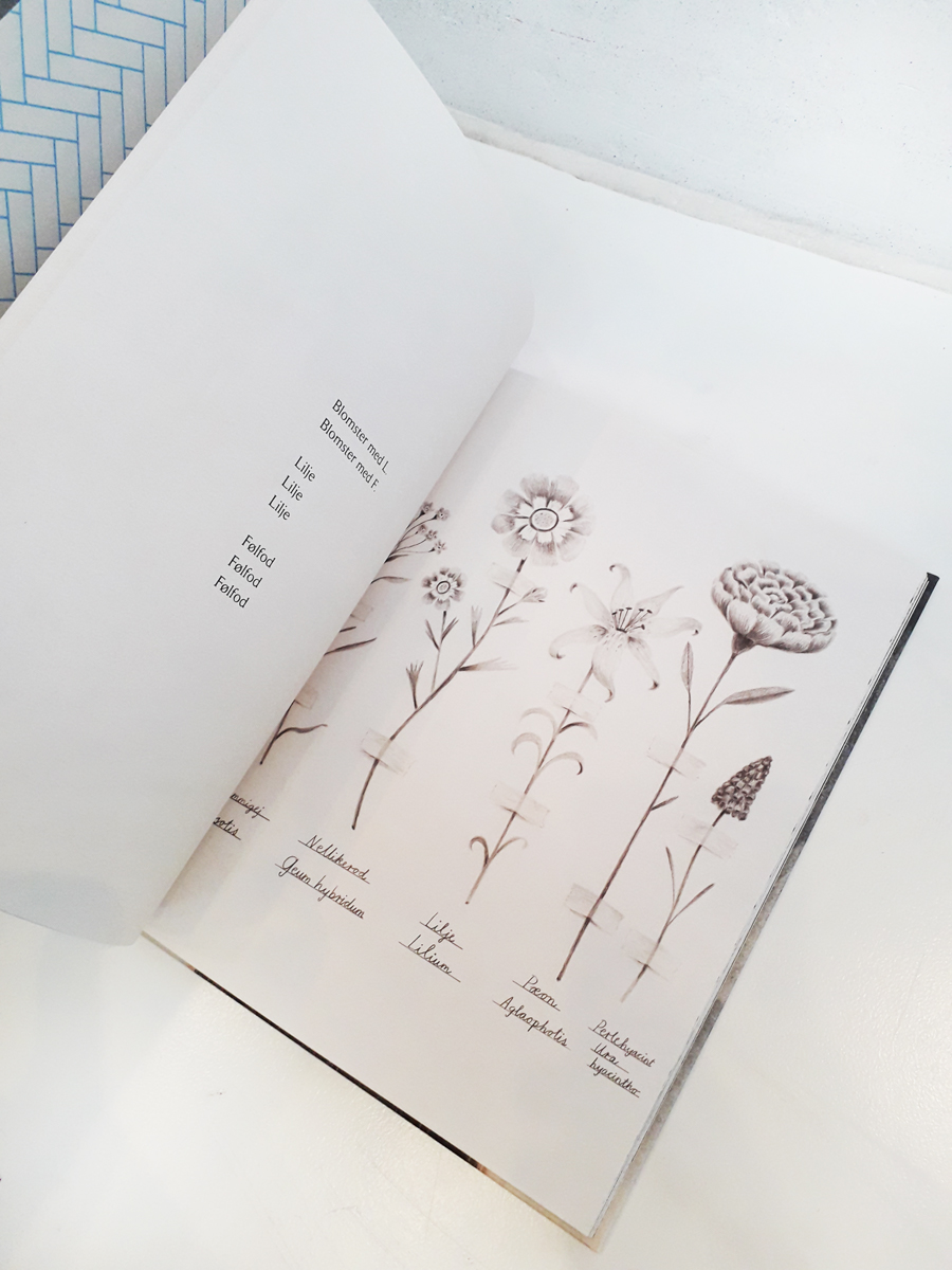 Ud af det blå Rebecca bach lauritzen Willumsens Museum sider 1